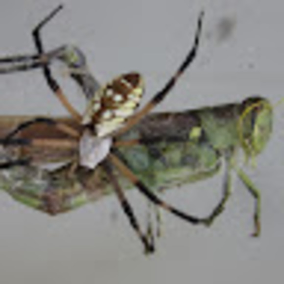 Meet your Posher, Ben - Picture 1 of 1